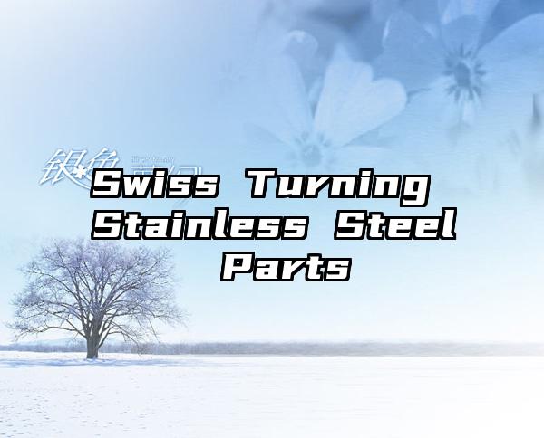 Swiss Turning Stainless Steel Parts