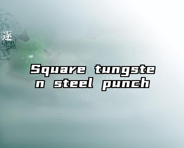 Square tungsten steel punch