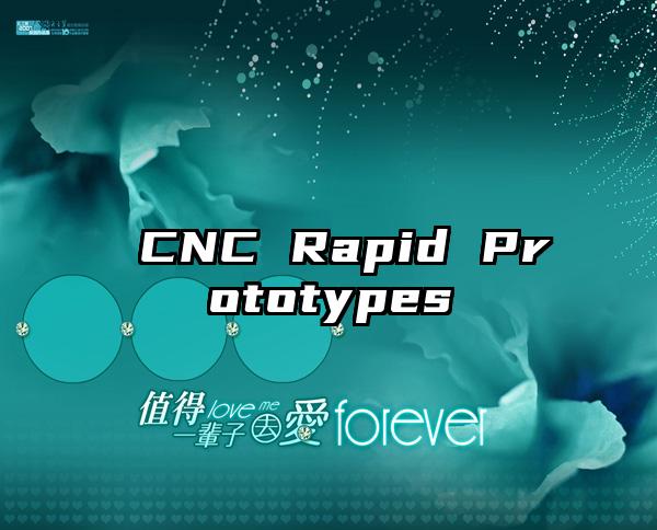  CNC Rapid Prototypes