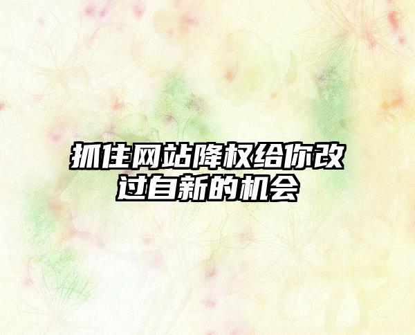 抓住网站降权给你改过自新的机会