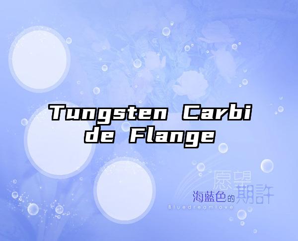 Tungsten Carbide Flange