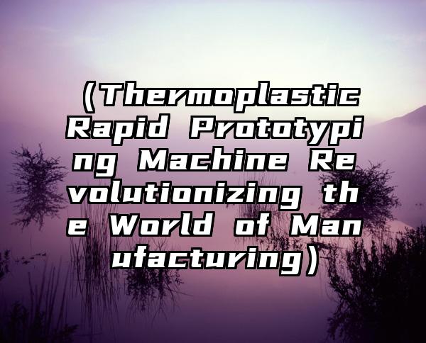 （Thermoplastic Rapid Prototyping Machine Revolutionizing the World of Manufacturing）