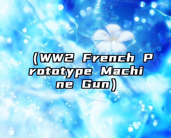 （WW2 French Prototype Machine Gun）