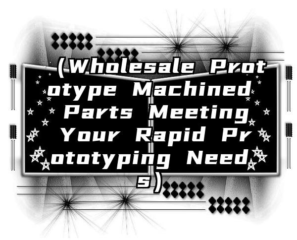 （Wholesale Prototype Machined Parts Meeting Your Rapid Prototyping Needs）